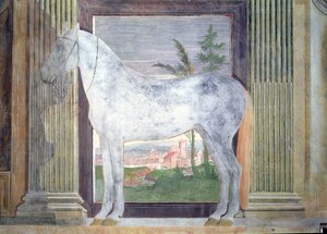 Sala dei Cavalli ، تفاصيل توضح صورة حصان رمادي من اسطبلات لودوفيكو غونزاغا الثالث من مانتوا ، 1528